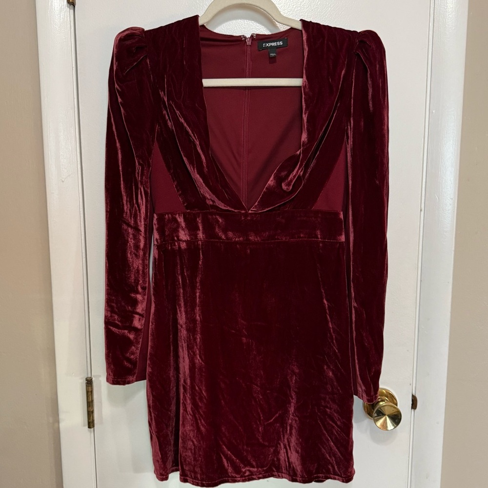 Express Burgundy Velvet Dress size 2